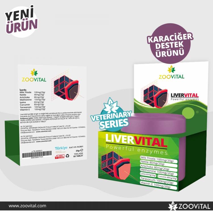 LİVERVİTAL 60 DELİCİOUS TABLET